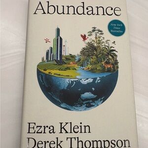 Abundance by Ezra Klein and Derek Thompson like new